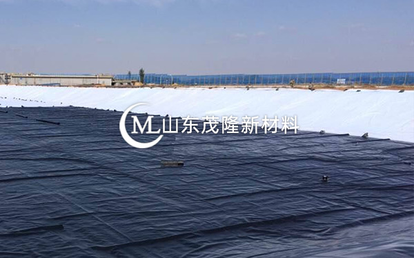 《衡水主城區(qū)生態(tài)修復(fù)工程》土工布、復(fù)合土工布施工