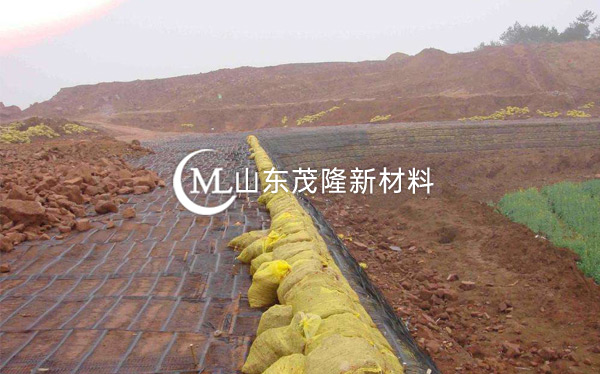 《東北區(qū)養(yǎng)殖場(chǎng)》土工格柵施工