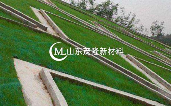 《都勻至安順公路項(xiàng)目》土工格柵、三維植被網(wǎng)施工