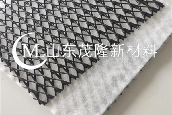 復合排水網(wǎng)/復合排水網(wǎng)  第5張