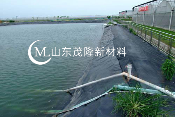 魚(yú)塘防滲膜  第2張