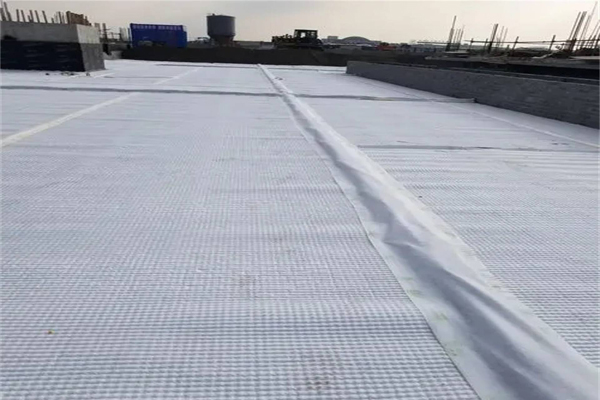 復(fù)合排水網(wǎng)的優(yōu)缺點全解析！  第1張