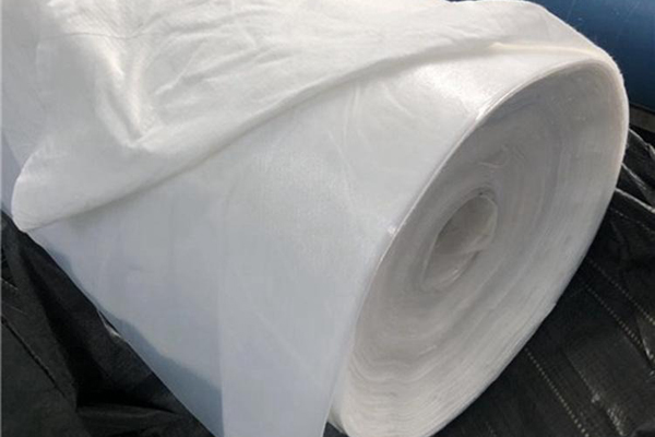 復(fù)合土工布與三維排水網(wǎng)的區(qū)別大揭秘！  第1張