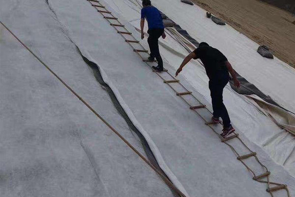 土工復合排水網(wǎng)規(guī)格型號詳解 第1張