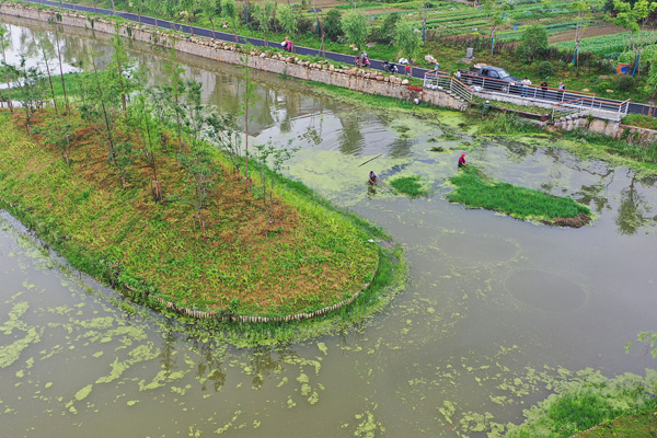 農(nóng)村生活污水處理最好的方式 第1張