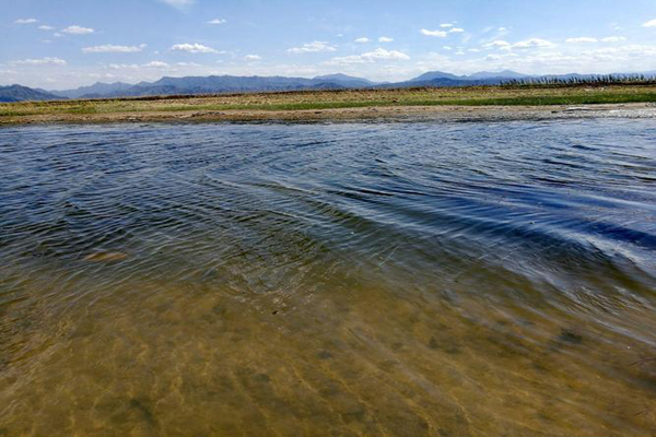 農(nóng)村生活污水處理最好的方式 第3張